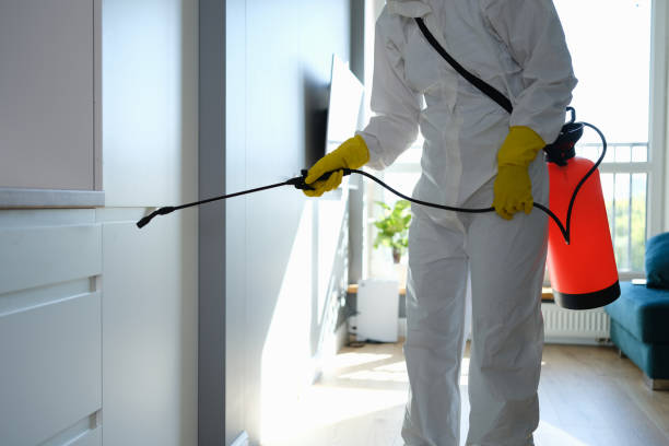 Crawl Space Mold Removal in Gifford, FL