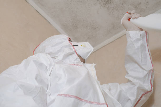 Best Professional Mold Removal  in Gifford, FL