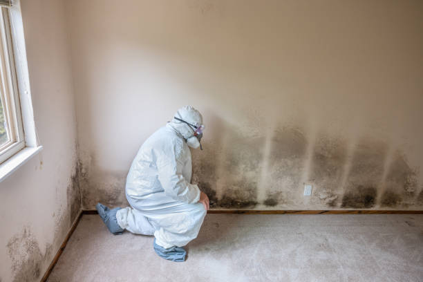 Best Crawl Space Mold Removal  in Gifford, FL